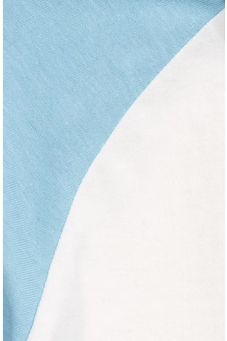Kids' Colorblock Raglan Sleeve Cotton Baseball T-Shirt, Alternate, color, BLUE