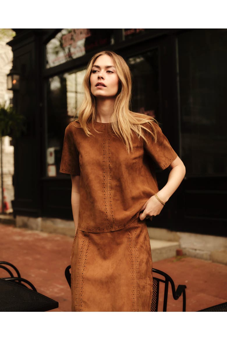 Chloe Genuine Suede Top, Alternate, color, Chestnut