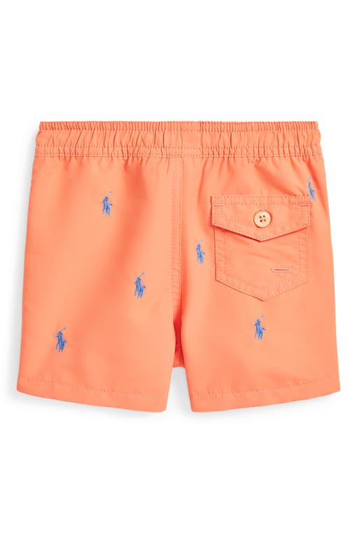 Polo Ralph Lauren Traveler Polo Pony Swim Trunk In Poppy