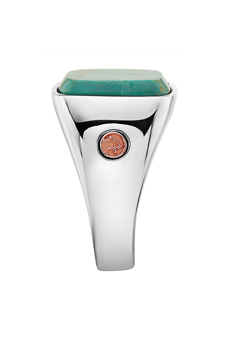 Smooth Turquoise Ring, Alternate, color, TEAL