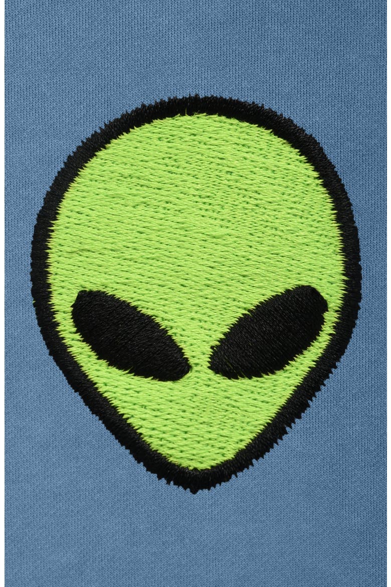 Alien Midweight Relaxed Hoodie, Alternate, color, Pebble Blue