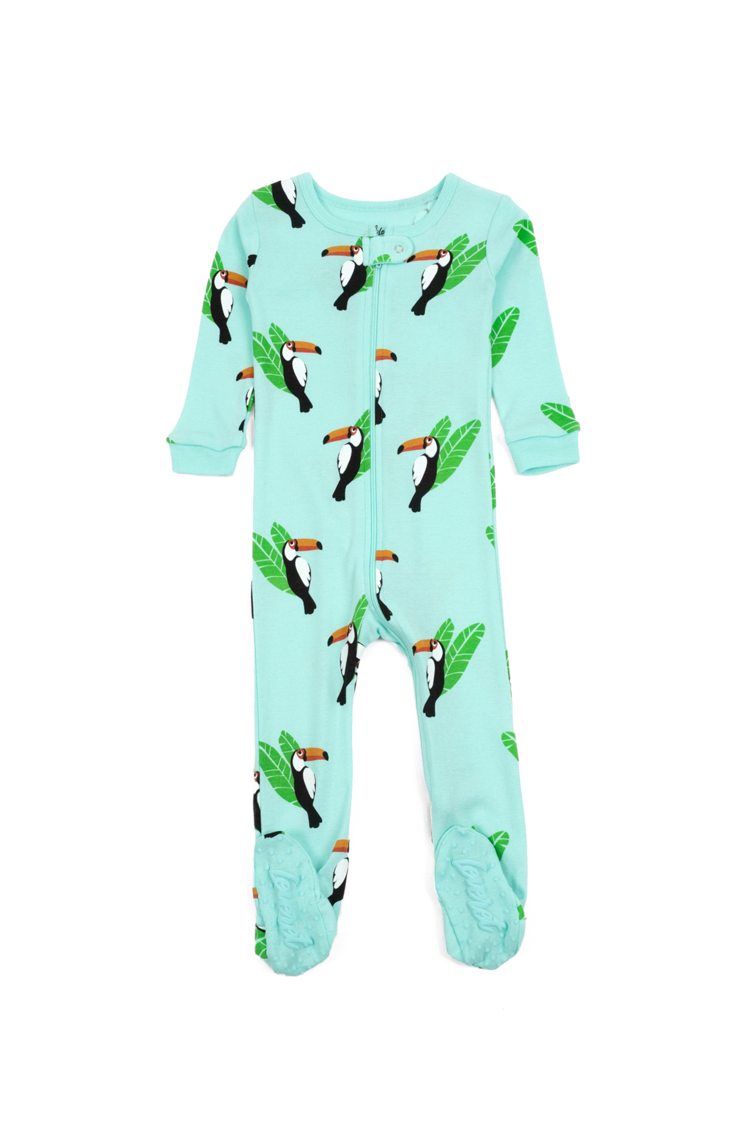 Toucan Bird