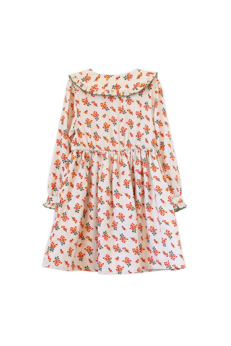 Little Kid Adelaide Velvet Tie Dress, Alternate, color, Autumn Floral