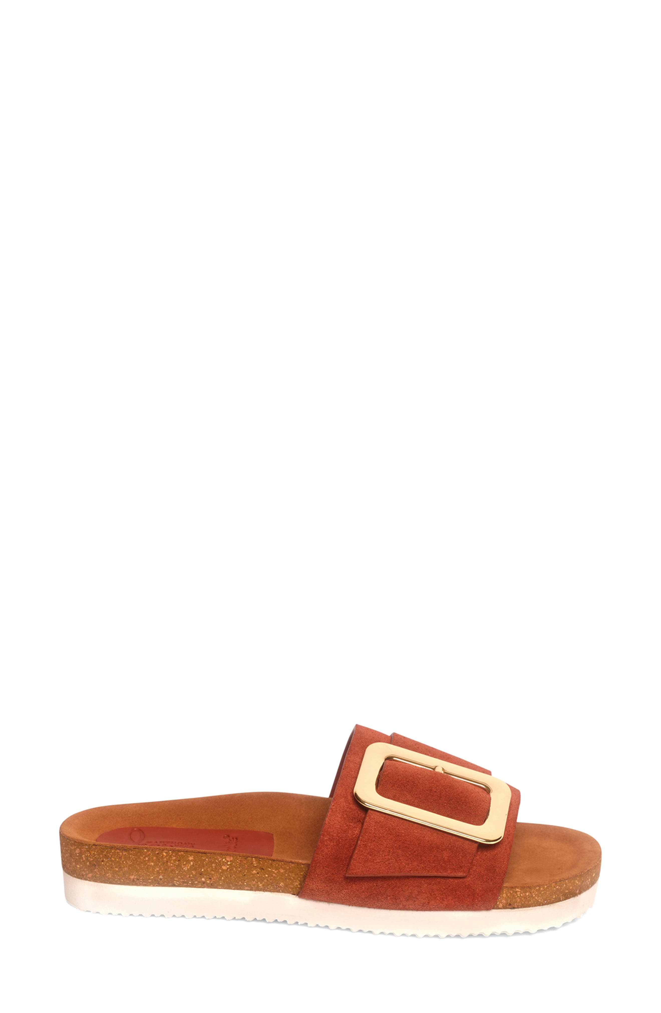 Clare Slide Sandal, Alternate, color, GINGER BISCUIT