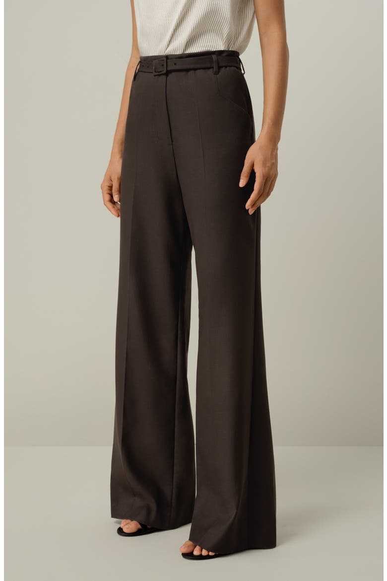 Women's Silk-Wool Blend High-Waisted Wide-Leg Pants, Alternate, color, Chestnut