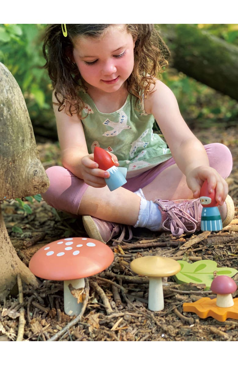 Tender Leaf Toys Woodland Gnome Family Wooden Playset, Alternate, color, Multi