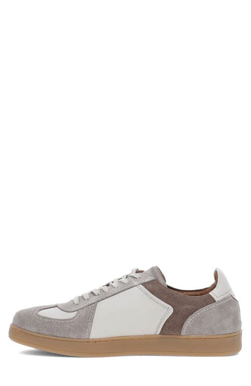 Frye Cooper Sneaker In Multi