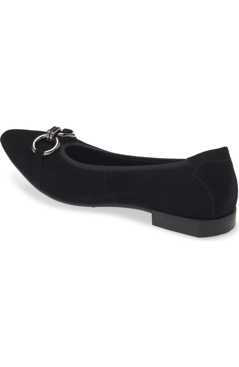 The FLEXX Raven Flat, Alternate, color,
