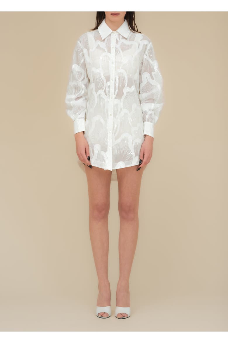 Wicca Sheer Oversized Embroidered Tulle Dress, Alternate, color, White