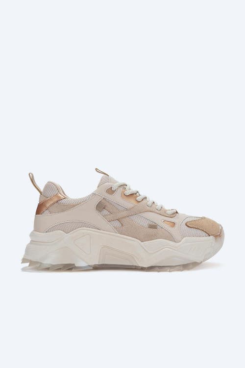Forever & Always Shoes Loretta Platform Sneakers In Beige