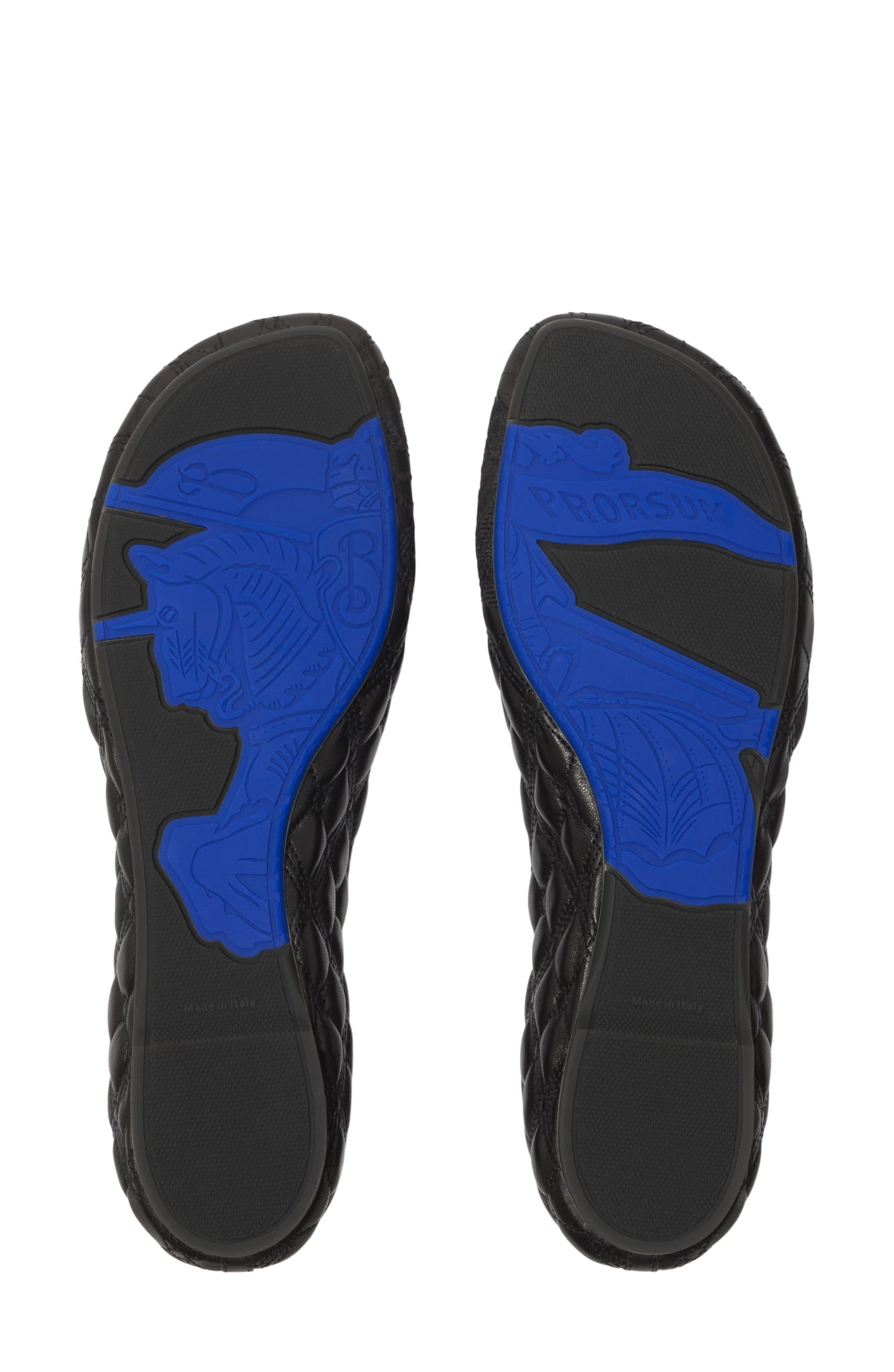 Burberry Sadler Embroidered Ballerina Flats, Alternate, color, 