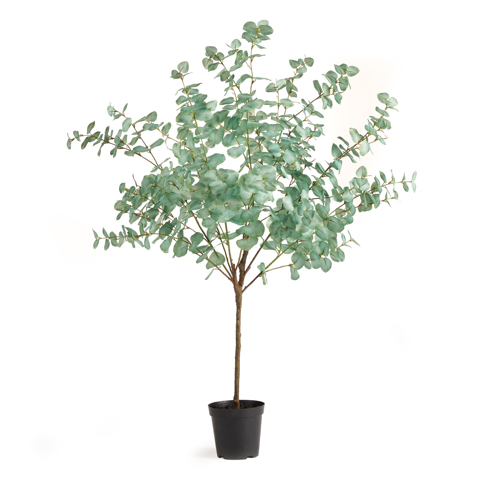selected Green