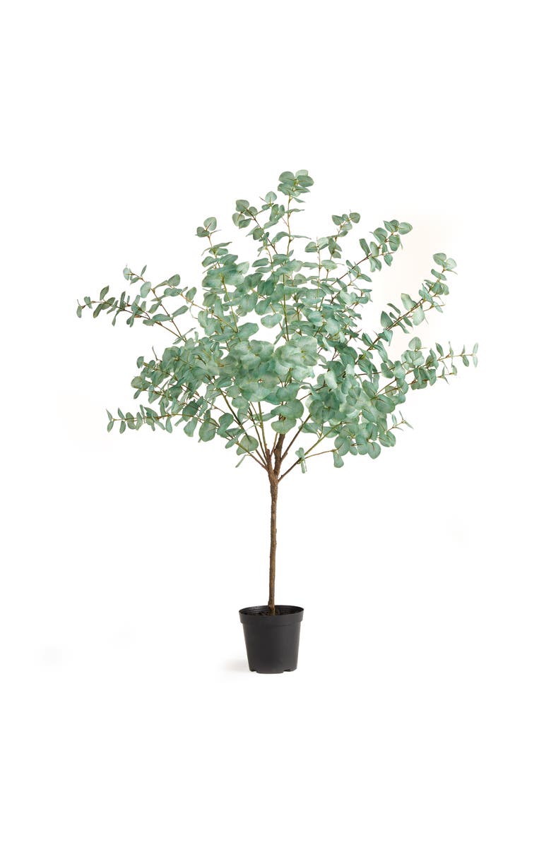 Napa Home & Garden Eucalyptus Tree Drop-In, Main, color, Green