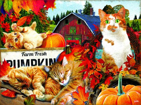 Farm Fresh Pumpkins 300 piece Jigsaw Puzzle for Adults