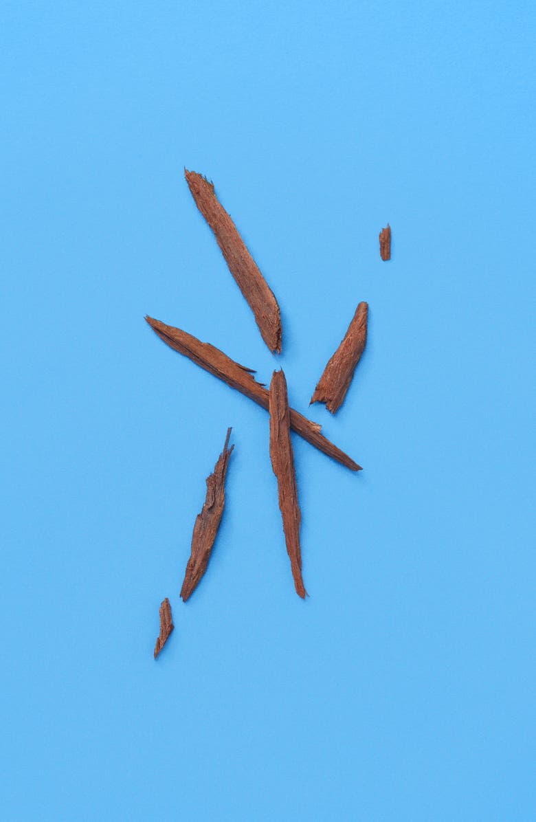 Gucci The Alchemist's Garden A Song for the Rose Eau de Parfum, Alternate, color, 