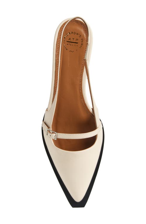 Atp Atelier Cortina Slingback Pointed Toe Flat In Linen