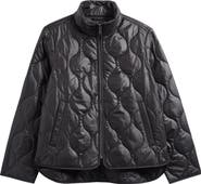 Sam Edelman Onion Quilted Jacket
