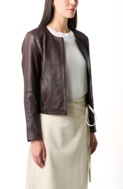Velez Rider Leather Jacket For Women In Brown