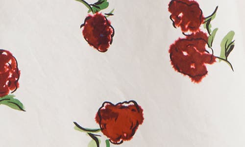 Khaite Lenno Raspberry Print Organza Midi Skirt