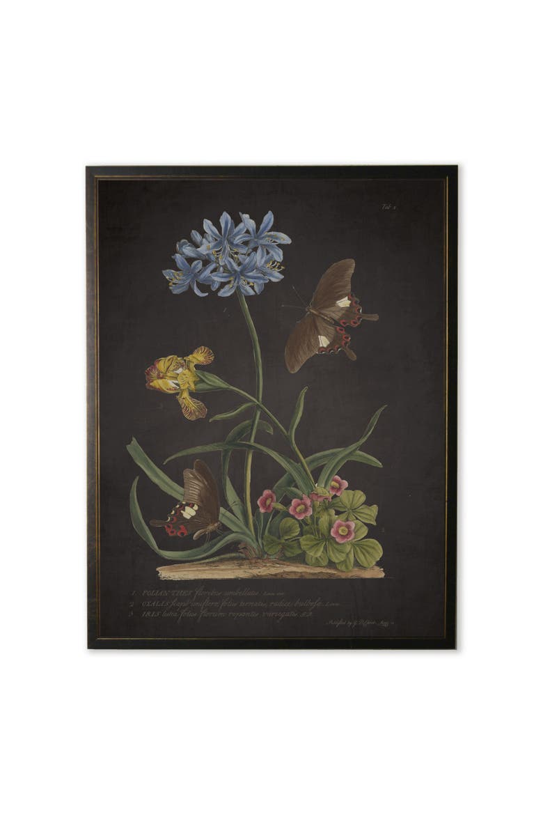 Blue Flower with Black Butterflies Print in Copper and Black Frame, Main, color, Multi