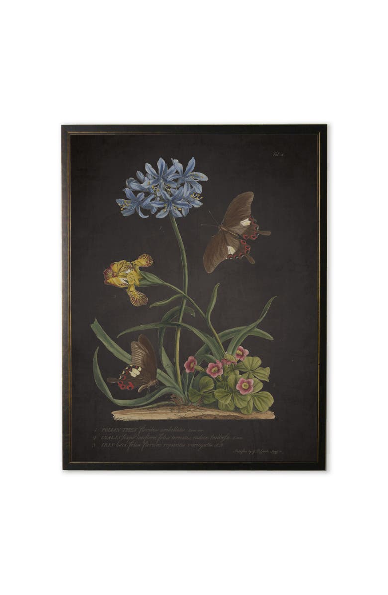 Antique Curiosities Blue Flower with Black Butterflies Print in Copper and Black Frame, Main, color, Multi