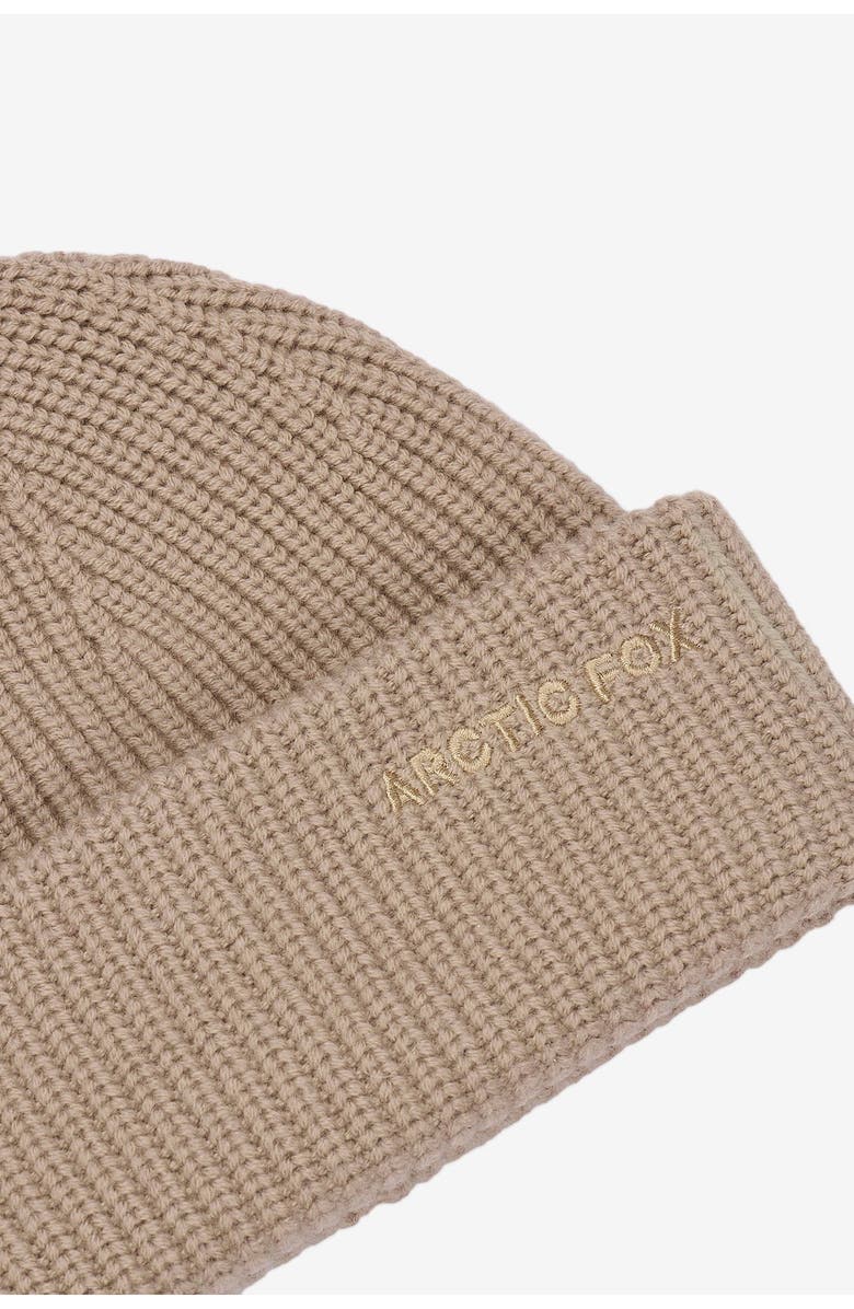Arctic Fox & Co The Embroidered Merino Wool Beanie, Alternate, color, Soft Taupe