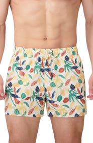 Sunset x Vine Leaf Print Swim Trunks
