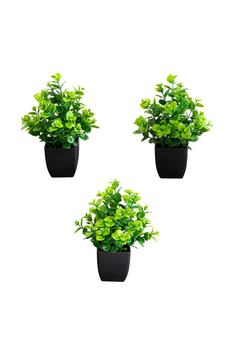 8-in Artificial Evergreen Boxwood Plant in Black Square Pot - Set of 3, Main, color, Green