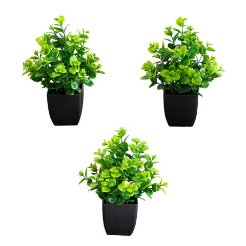 8-in Artificial Evergreen Boxwood Plant in Black Square Pot - Set of 3