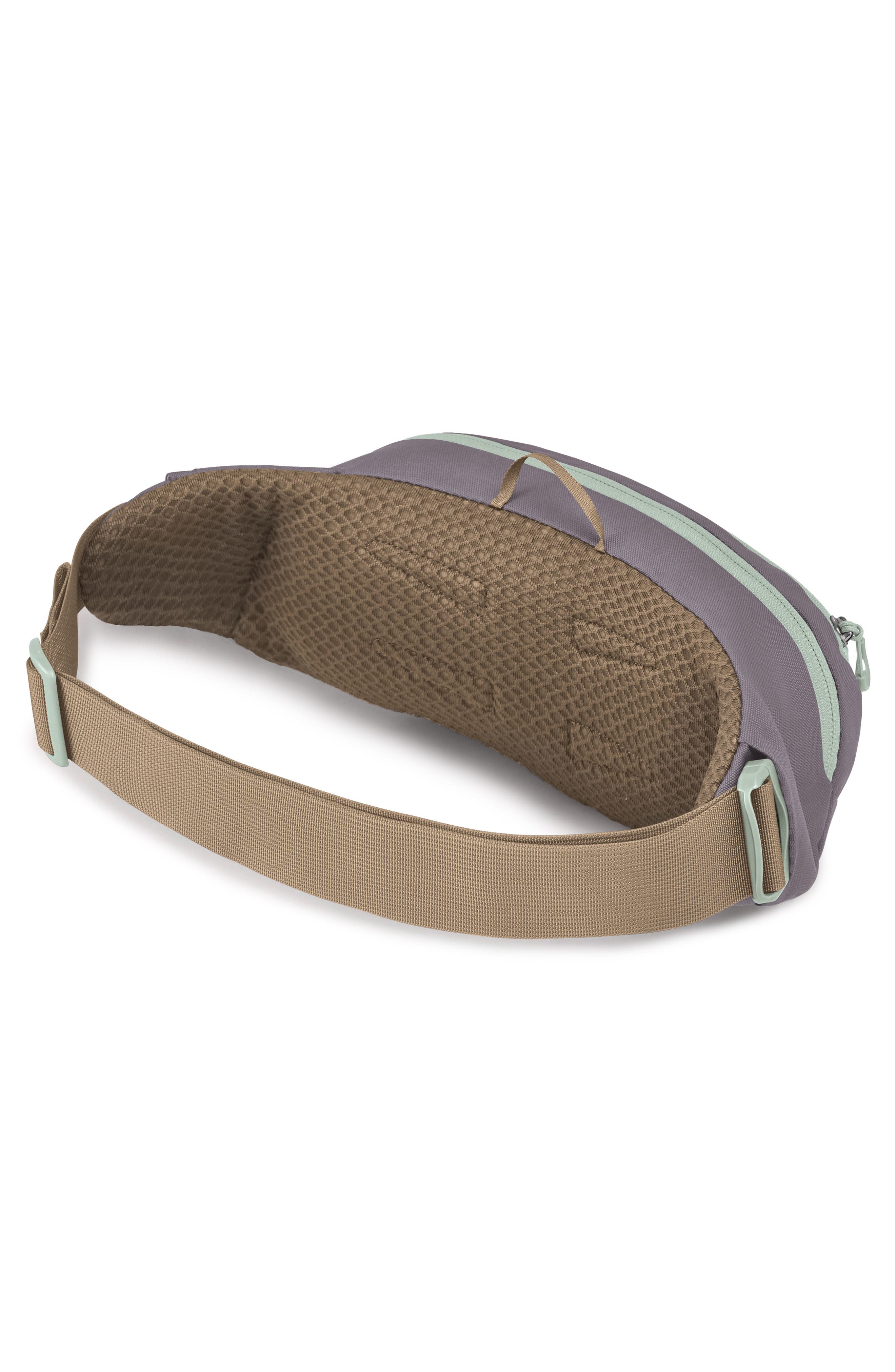 Osprey Daylite Waist Pack, Alternate, color, Soundwave Grey/Latte Brown