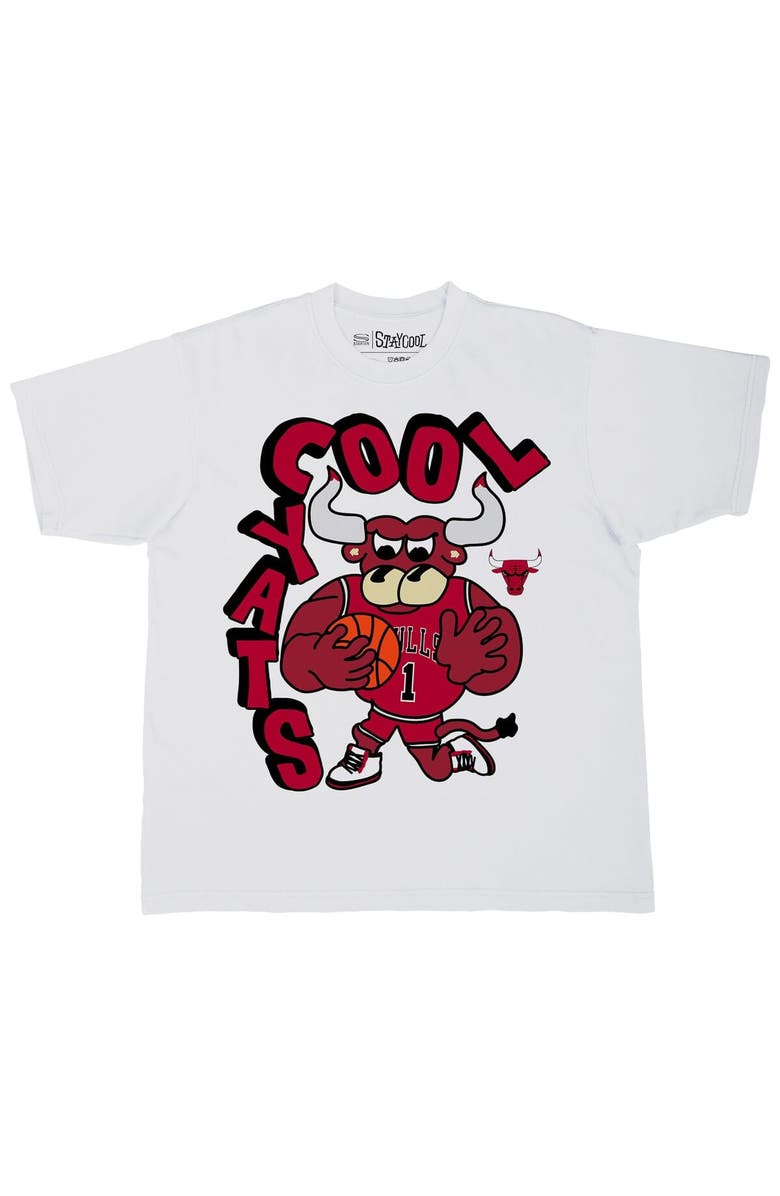 Stadium Essentials Men's Stadium Essentials White Chicago Bulls NBA x Staycool Mascot Oversized T-Shirt, Alternate, color, White