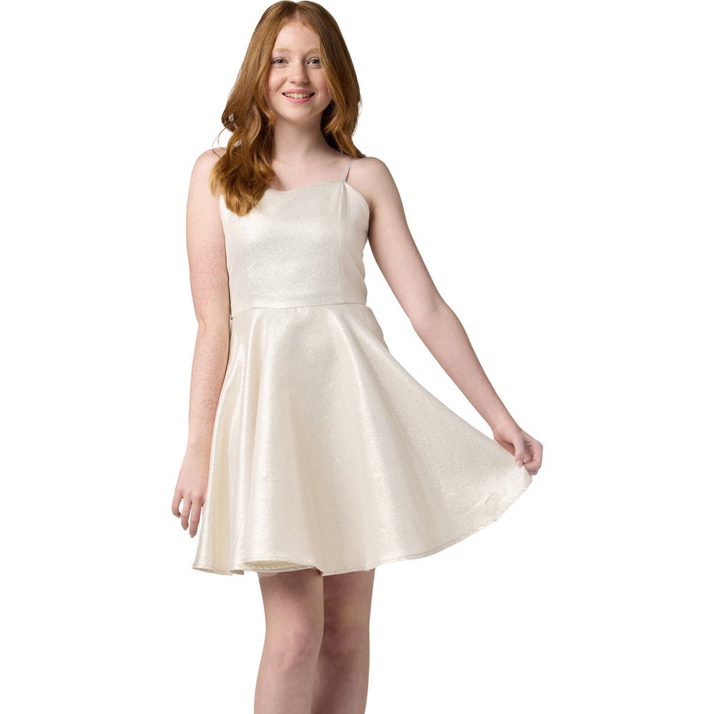 Un Deux Trois Fit And Flare Party Dress In Silver