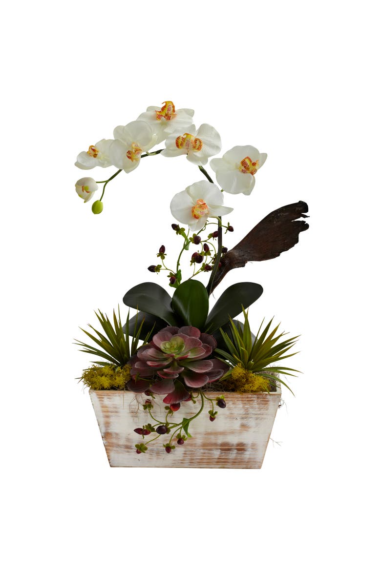 Orchid & Succulent Garden with White Wash Planter, Main, color, White