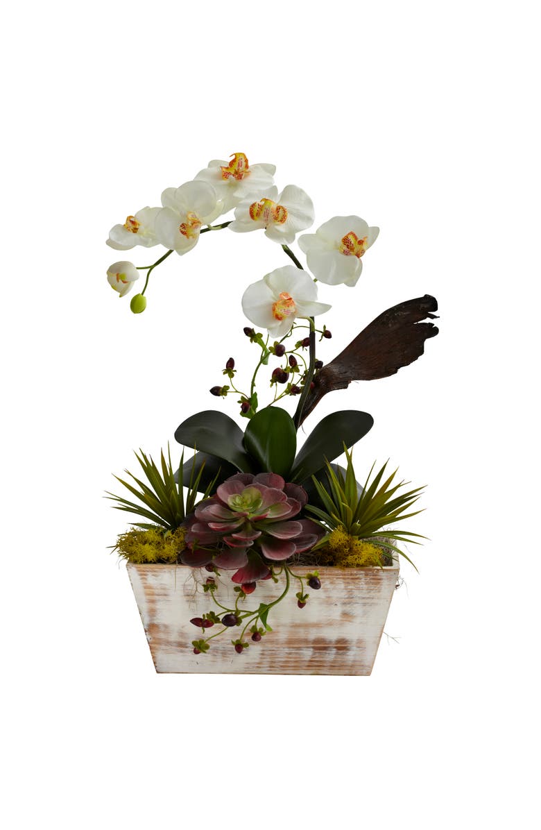 NEARLY NATURAL Orchid 
Succulent Garden with White Wash Planter, Main, color, White