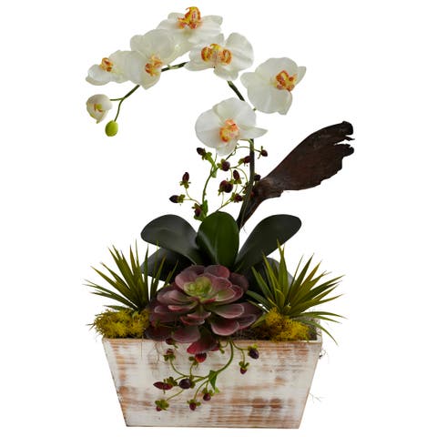 Orchid 
Succulent Garden with White Wash Planter