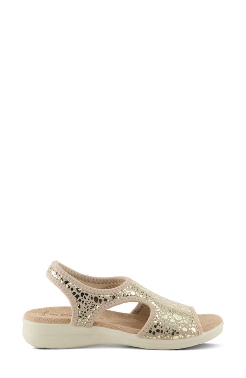 Flexus By Spring Step Nyaman Slingback Sandal In Gold