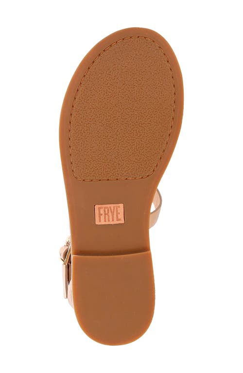 Frye Taylor Metallic Ankle-strap Thong Sandals In Multi