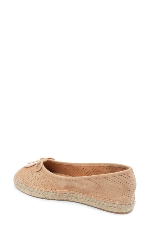 Patricia Green Sydney Ballet Flat In Natural Perforated Suede