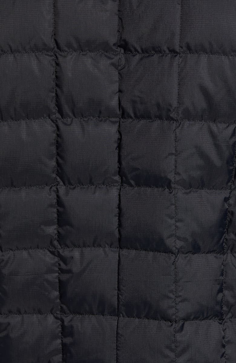 Arc'teryx Rico Jacket, Alternate, color,