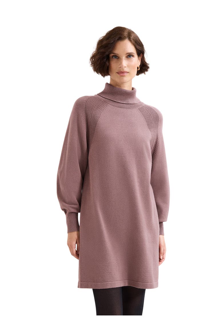 Ellie Jumper Dress, Main, color, Latte