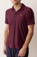 Marine Layer Everyday Sport Polo
