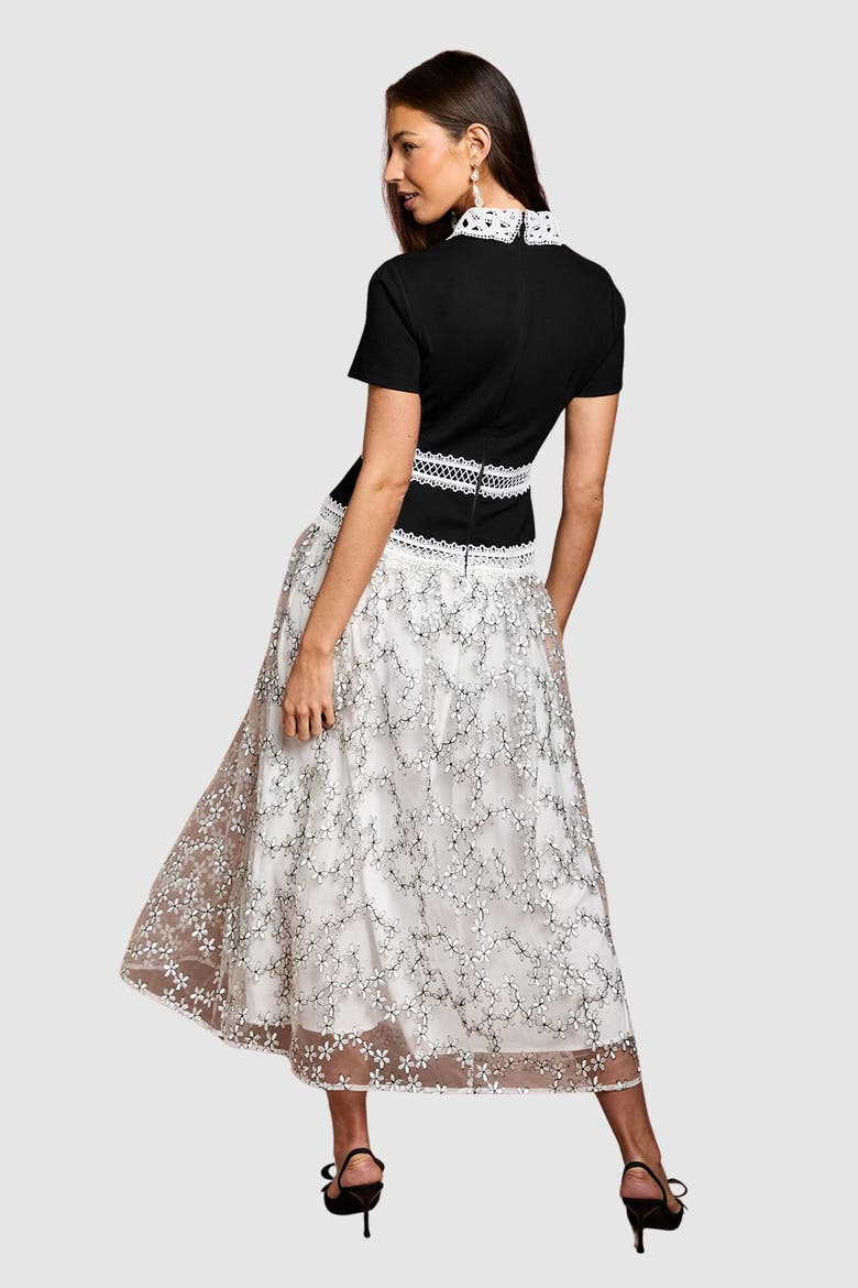 Embroidered Mesh Skirt Midaxi Dress, Alternate, color, Mono