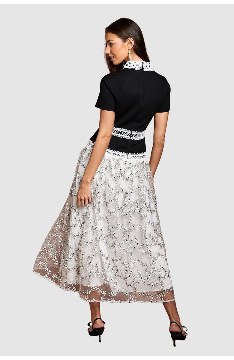 Coast Embroidered Mesh Skirt Midaxi Dress, Alternate, color, Mono