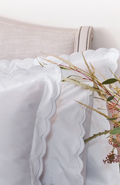 Christy Scallop Edge Luxury Cotton Sateen Oxford Style Pillow Sham Pairs