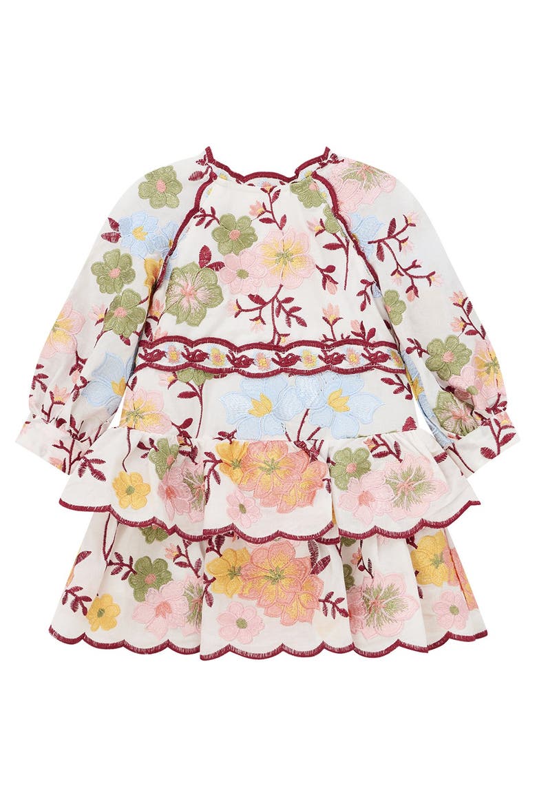 Penelope Cotton Embroidered Mini Dress, Main, color, Floral