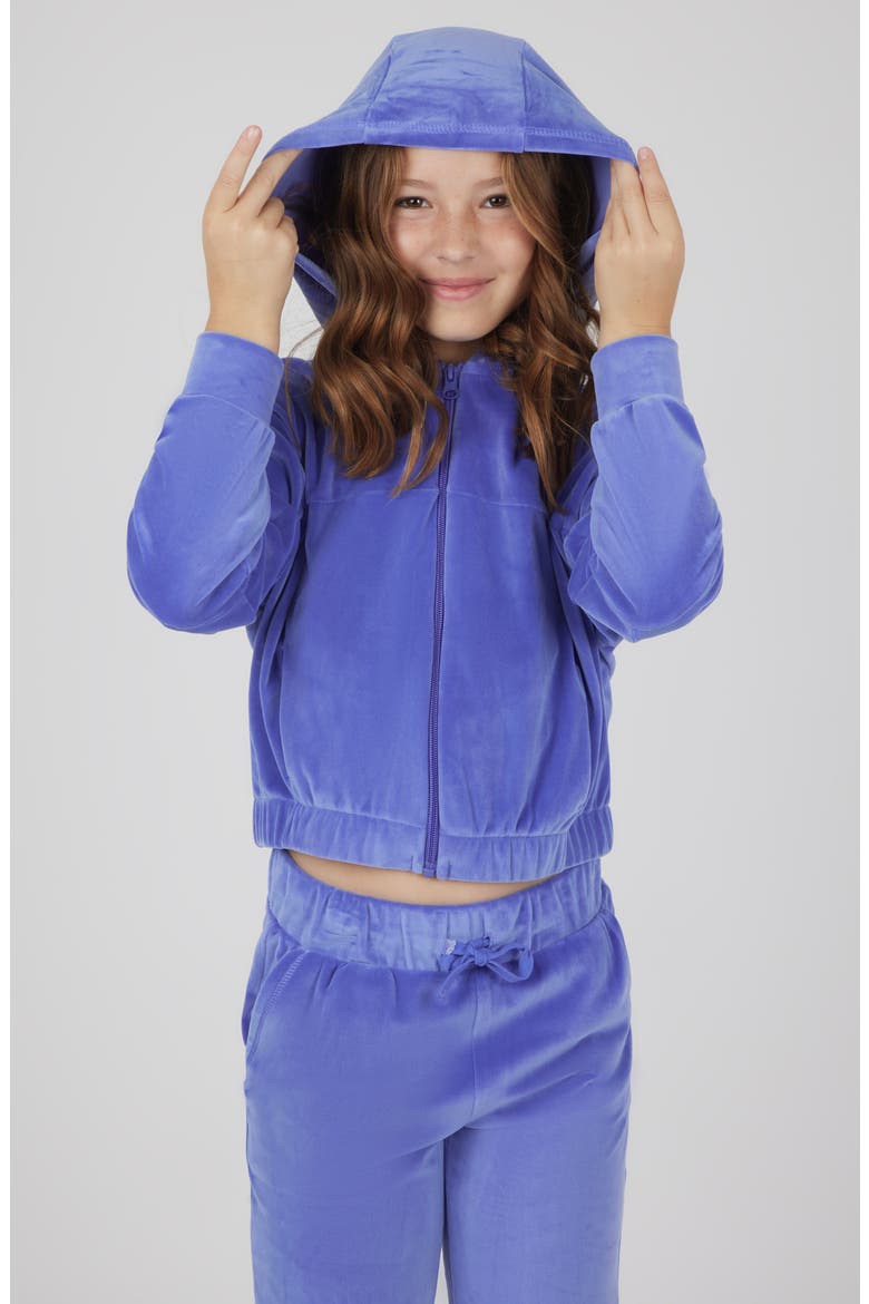 Kids' Velour Treasure Zip Jacket & Joggers Set, Alternate, color, VIOLET STORM