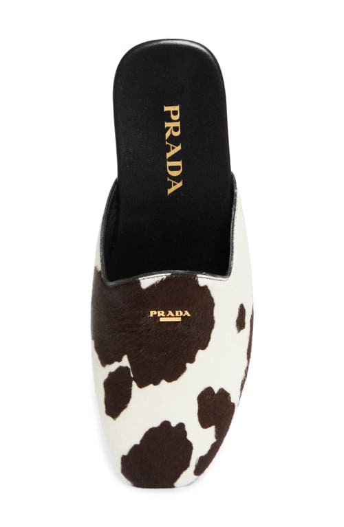 Prada Genuine Calf Hair Mule