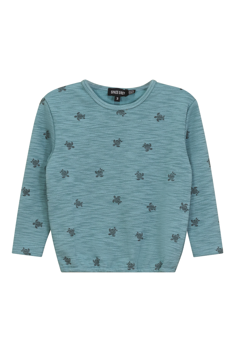 Turtle Print Pullover Sweatshirt, Main, color, Seafoam