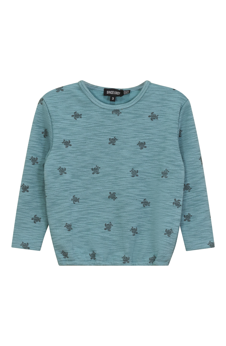 Space Grey Turtle Print Pullover Sweatshirt, Main, color, Seafoam
