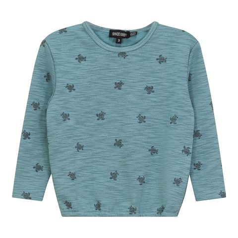 Turtle Print Pullover Sweatshirt (Toddler, Little Kid & Big Kid)